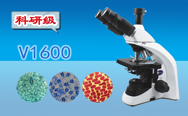 顯微鏡的工作原理以及高倍顯微鏡的使用方法是什么呢？