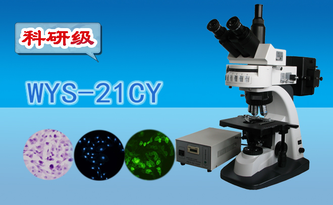 熒光顯微鏡技術(shù)包括哪幾種？